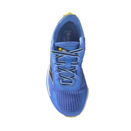 Paradigmlight Blue